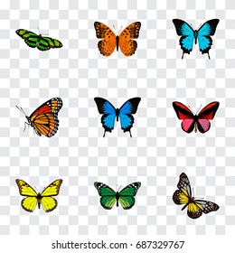 Realistic Danaus Plexippus, Birdwing, Archippus And Other Vector Elements. Set Of Moth Realistic Symbols Also Includes Yellow, Butterfly, Cypris Objects.