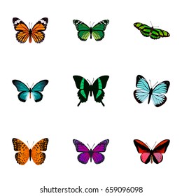 Realistic Danaus Plexippus, Callicore Cynosura, Green Peacock And Other Vector Elements. Set Of Moth Realistic Symbols Also Includes Cynosura, Tropical, Malachite Objects.