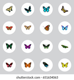 Realistic Danaus Plexippus, Checkerspot, Green Peacock And Other Vector Elements. Set Of Moth Realistic Symbols Also Includes Green, Fly, Tiger Objects.