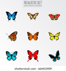 Realistic Danaus Plexippus, Common Blue, Tiger Swallowtail And Other Vector Elements. Set Of Moth Realistic Symbols Also Includes Cypris, Monarch, Red Objects.