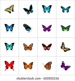 Realistic Danaus Plexippus, Copper, Purple Monarch And Other Vector Elements. Set Of Beautiful Realistic Symbols Also Includes Yellow, Julia, Sky Objects.
