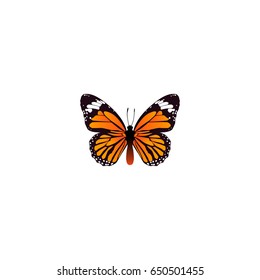 Realistic Danaus Plexippus Element. Vector Illustration Of Realistic Monarch Isolated On Clean Background. Can Be Used As Monarch, Orange And Butterfly Symbols.