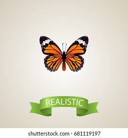 Realistic Danaus Plexippus Element. Vector Illustration Of Realistic Monarch Isolated On Clean Background. Can Be Used As Monarch, Orange And Butterfly Symbols.