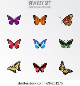 Realistic Danaus Plexippus, Milkweed, Bluewing And Other Vector Elements. Set Of Butterfly Realistic Symbols Also Includes Butterfly, Bluewing, Fly Objects.