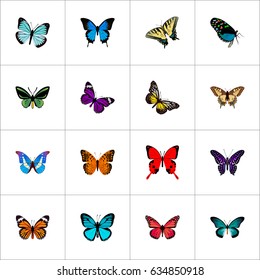 Realistic Danaus Plexippus, Monarch, Hairstreak And Other Vector Elements. Set Of Beautiful Realistic Symbols Also Includes Red, Blue, Monarch Objects.