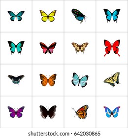 Realistic Danaus Plexippus, Morpho Hecuba, Archippus And Other Vector Elements. Set Of Moth Realistic Symbols Also Includes Red, Monarch, Sky Objects.