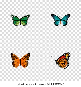 Realistic Danaus Plexippus, Pipevine, Milkweed And Other Vector Elements.