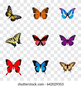 Realistic Danaus Plexippus, Purple Monarch, Common Blue And Other Vector Elements. Set Of Beauty Realistic Symbols Also Includes Swallowtail, Purple, Blue Objects.