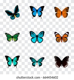 Realistic Danaus Plexippus, Sky Animal, Common Blue And Other Vector Elements. Set Of Butterfly Realistic Symbols Also Includes Cypris, Green, Hairstreak Objects.