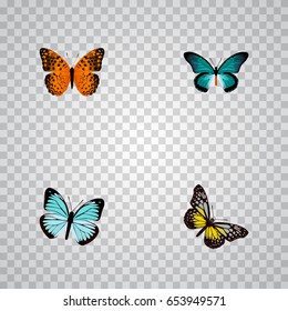 Realistic Danaus Plexippus, Summer Insect, Lexias And Other Vector Elements. Set Of Butterfly Realistic Symbols Also Includes Butterfly, Beauty, Sky Objects.