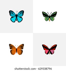 Realistic Danaus Plexippus, Tropical Moth, Sky Animal And Other Vector Elements. Set Of Beauty Realistic Symbols Also Includes Green, Red, Fly Objects.