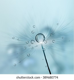 Realistic dandelion in the morning dew.Vector. svg