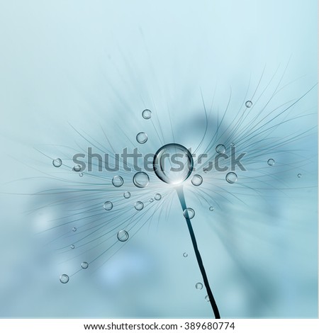 Realistic dandelion in the morning dew.Vector.