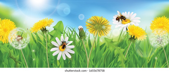 Realistic dandelions background composition with sky sun light specks and natural grass with bees and flowers vector illustration