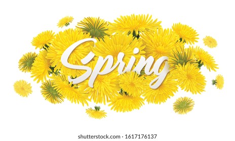 Realistic dandelions composition with editable ornate text and pile of yellow spring flowers on blank background vector illustration