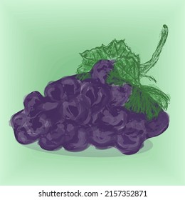 Realistic dark grapes, vector, looks like a photo.