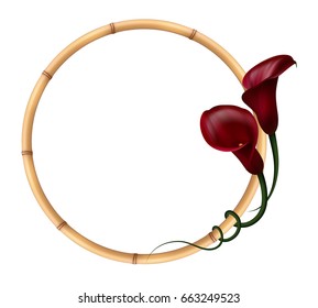 Realistic dark red calla lily, bamboo frame. The symbol of Attraction and Passion. 