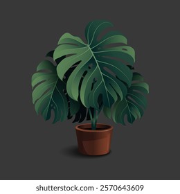 Realistic decorative houseplants vector illustration