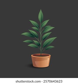 Realistic decorative houseplants vector illustration