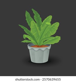 Realistic decorative houseplants vrctor illustration