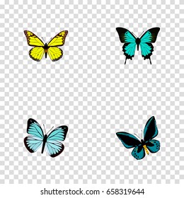 Realistic Demophoon, Archippus, Lexias And Other Vector Elements. Set Of Beauty Realistic Symbols Also Includes Bluewing, Hairstreak, Sky Objects.