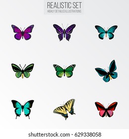 Realistic Demophoon, Checkerspot, Purple Monarch And Other Vector Elements. Set Of Beauty Realistic Symbols Also Includes Sky, Violet, Tiger Objects.