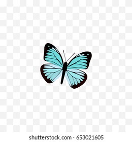 Realistic Demophoon Element. Vector Illustration Of Realistic Lexias Isolated On Clean Background. Can Be Used As Blue, Sky And Butterfly Symbols.