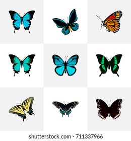 Realistic Demophoon, Milkweed, Beauty Fly And Other Vector Elements. Set Of Moth Realistic Symbols Also Includes Fly, Butterfly, Tropical Objects.