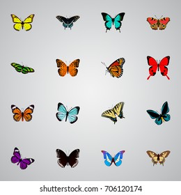 Realistic Demophoon, Monarch, Butterfly And Other Vector Elements. Set Of Butterfly Realistic Symbols Also Includes Brown, Butterfly, Moth Objects.