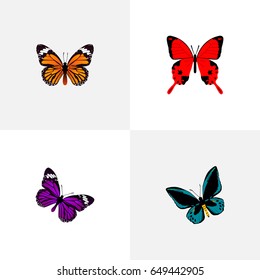 Realistic Demophoon, Monarch, Sangaris And Other Vector Elements. Set Of Butterfly Realistic Symbols Also Includes Monarch, Butterfly, Orange Objects.