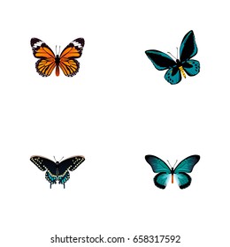 Realistic Demophoon, Morpho Hecuba, Monarch And Other Vector Elements. Set Of Beauty Realistic Symbols Also Includes Orange, Butterfly, Monarch Objects.