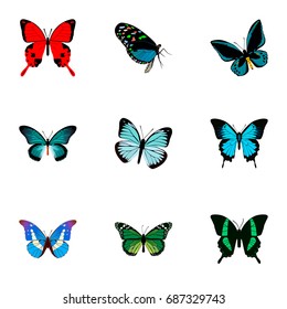 Realistic Demophoon, Pipevine, Sangaris And Other Vector Elements. Set Of Butterfly Realistic Symbols Also Includes Bluewing, Morpho, Butterfly Objects.