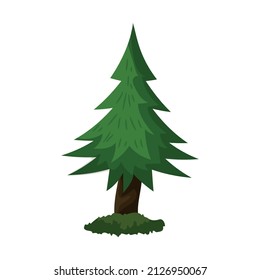 Realistic dense green spruce isolated on white background - Vector illustration