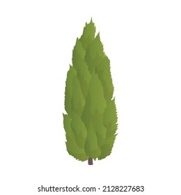 Realistic dense green spruce on white background - Vector illustration
