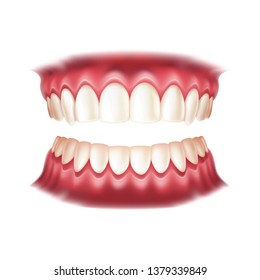 Realistic dentures for dentistry and orthodontics design. Vector human mouth with teeth for medical and toothpaste design. Healthy oral hygiene, jaw prosthesis concept.