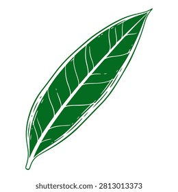 A realistic depiction of a vibrant green leaf showcasing detailed veins and natural texture, emphasizing botanical beauty and natures intricacies.