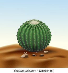 Realistic desert big round cactus Echinocactus. Plant of desert among sand and rocks in habitat. Realistic 3d volume vector illustration on sky background.