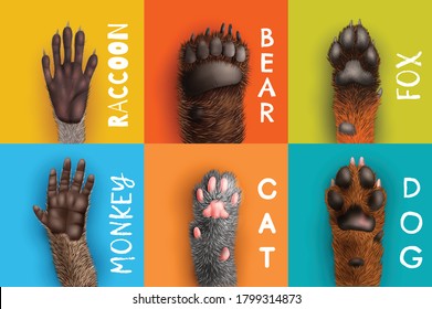 Realistic design concept with bottom view of labeled animal paws on colorful background isolated vector illustration