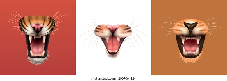 Realistic design concept with open mouth of angry roaring cat family animals isolated vector illustration