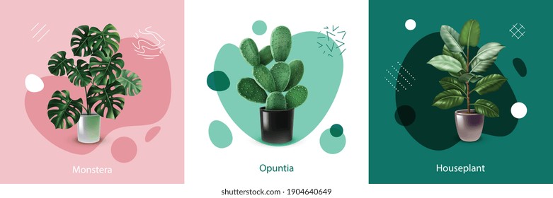 Concepto de diseño realista con varias plantas domésticas etiquetadas en macetas ilustraciones vectoriales aisladas