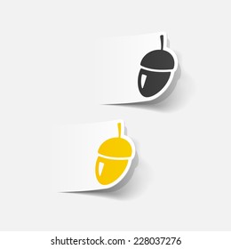 realistic design element: acorns