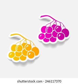 realistic design element: berries