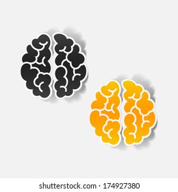 realistic design element: brain. Vector Illustration