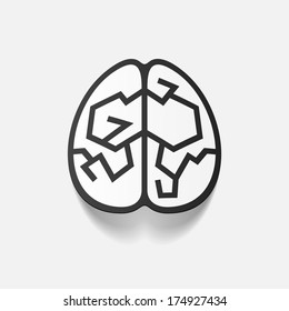 realistic design element: brain. Vector Illustration