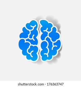 realistic design element: brain. Vector Illustration