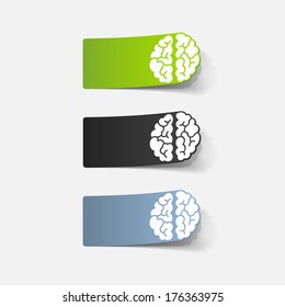 realistic design element: brain. Vector Illustration