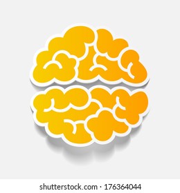 realistic design element: brain. Vector Illustration