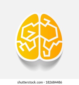 realistic design element: brain. Vector Illustration