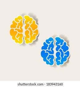 realistic design element: brain. Vector Illustration