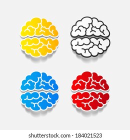 realistic design element: brain. Vector Illustration